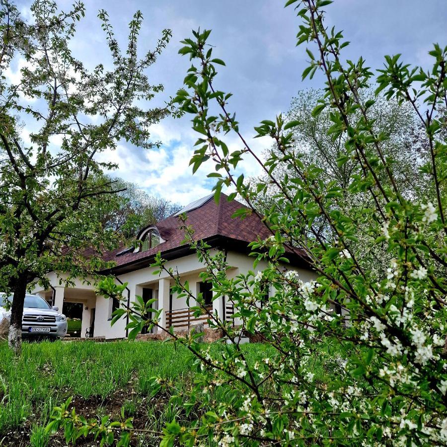 Hotel Provence Sučava Exteriér fotografie