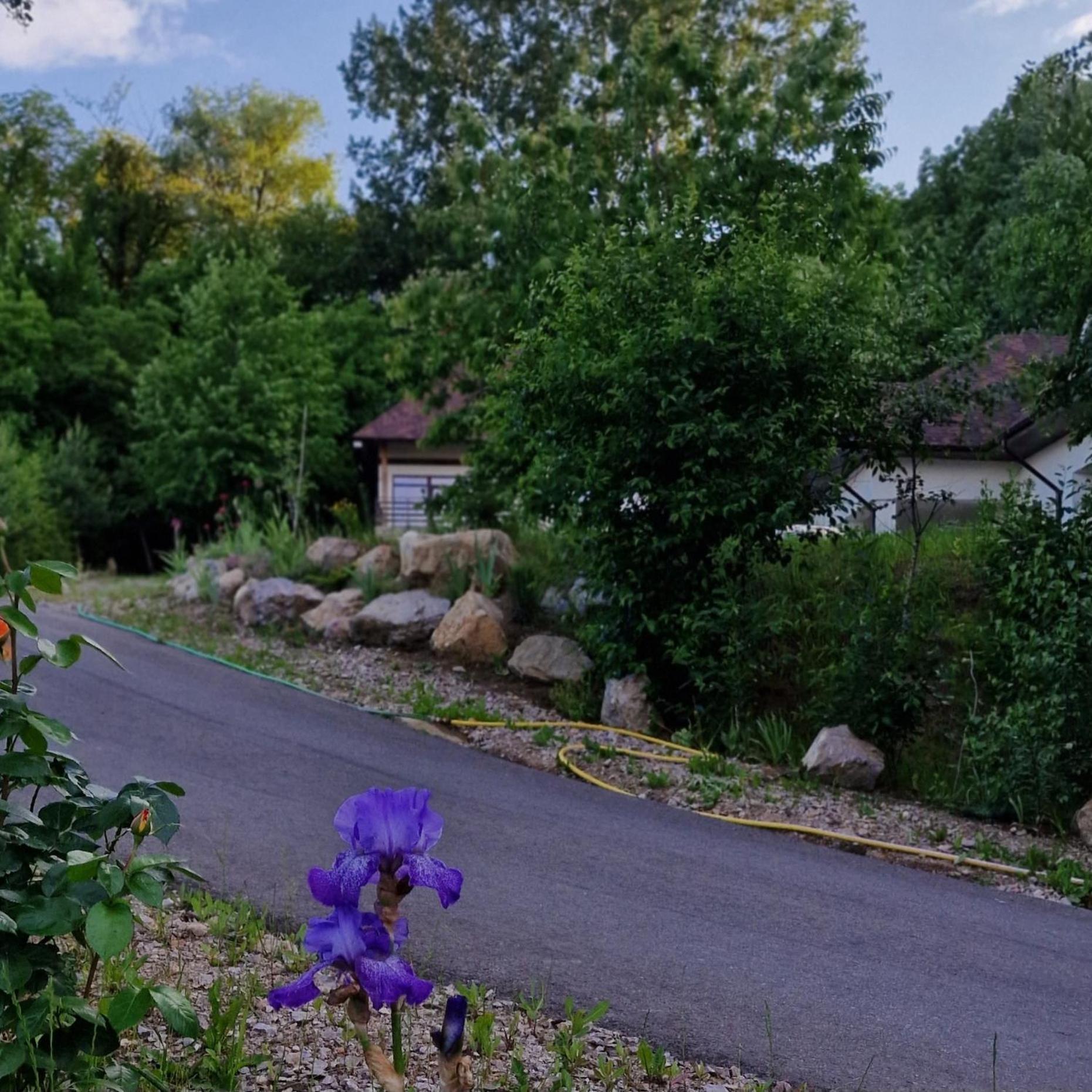 Hotel Provence Sučava Exteriér fotografie