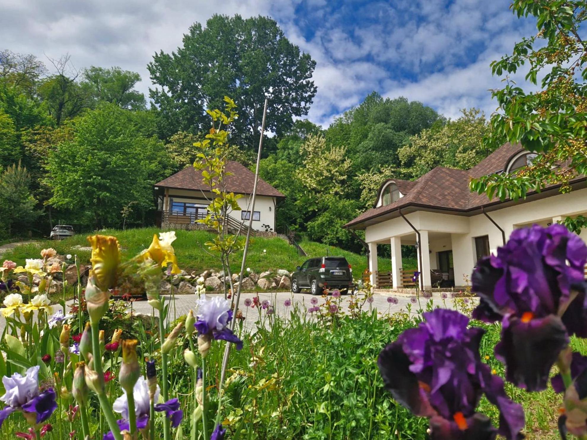 Hotel Provence Sučava Exteriér fotografie
