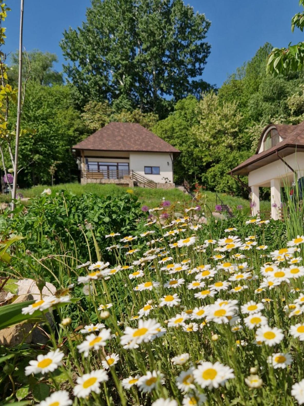 Hotel Provence Sučava Exteriér fotografie