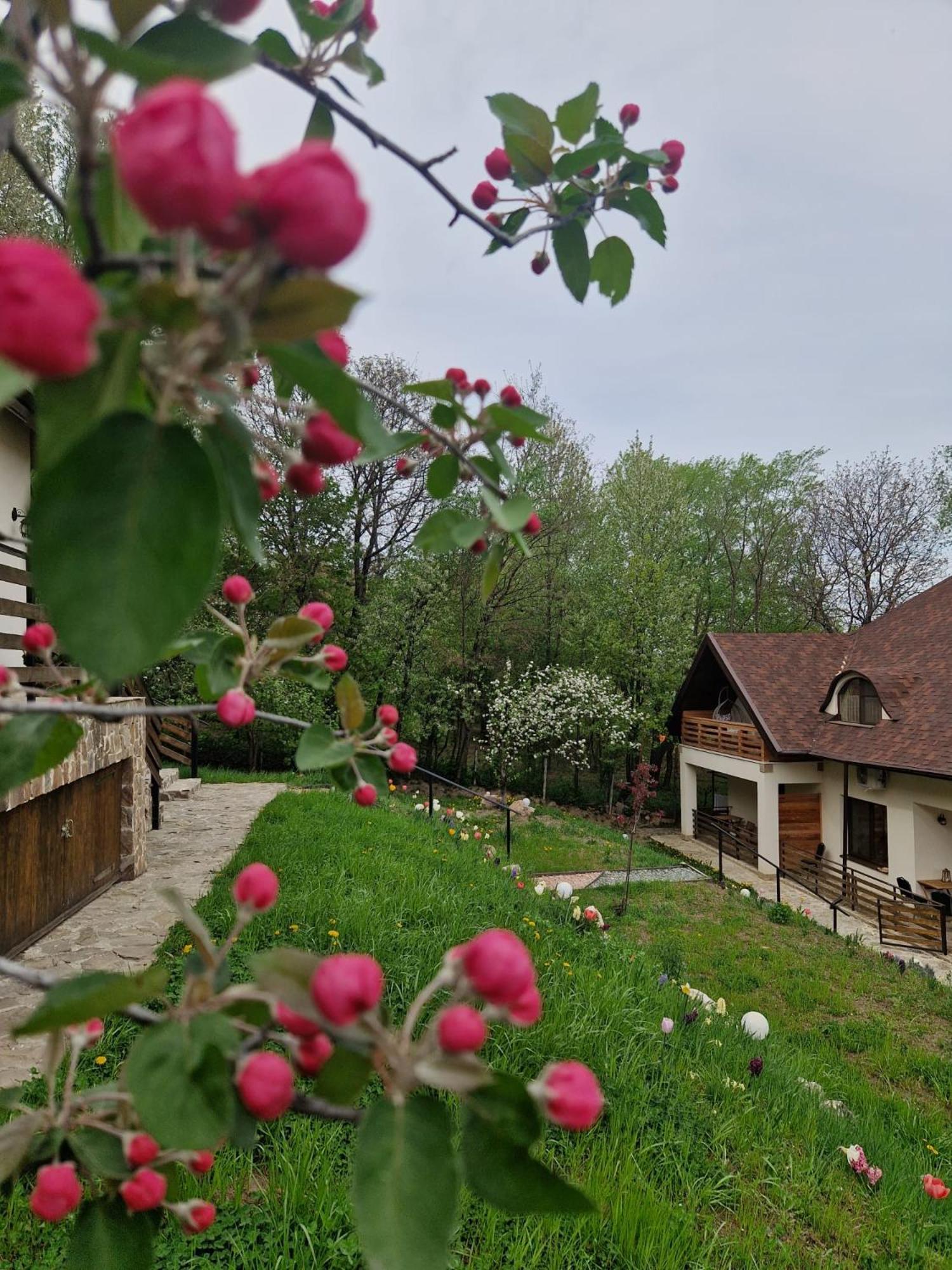Hotel Provence Sučava Exteriér fotografie