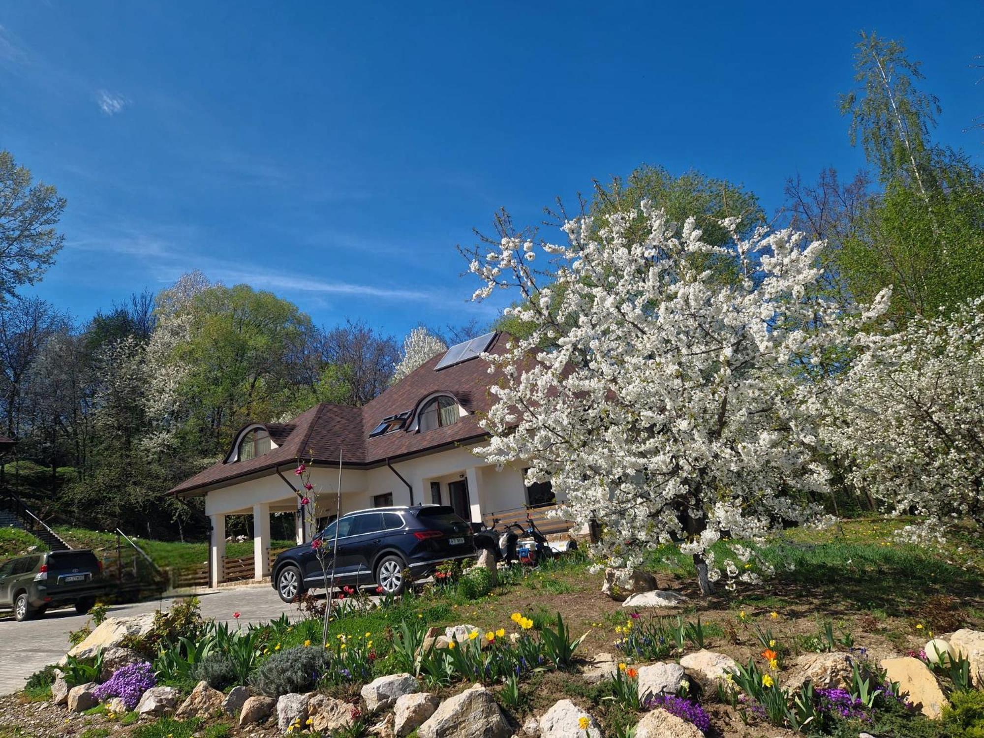 Hotel Provence Sučava Exteriér fotografie